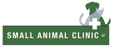 The Small Animal Clinic at Colorado Equine